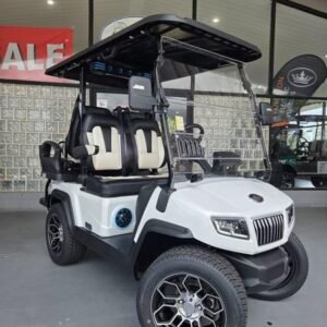2025 Evolution D5 Ranger 2+2 Plus Arctic Gray | Cart with CarPlay